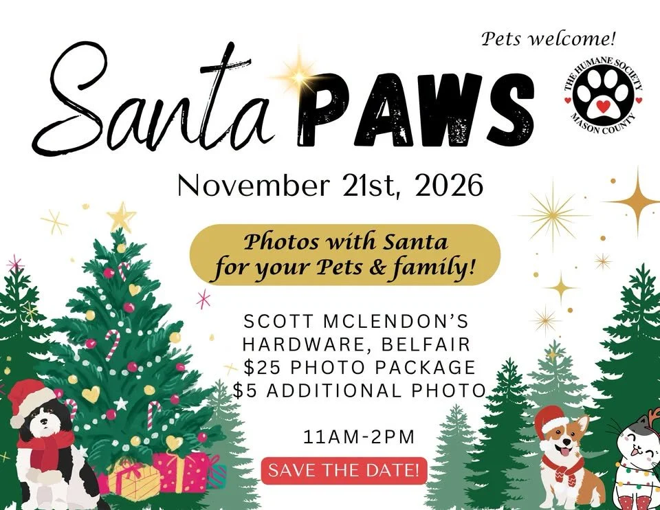 Santa Paws