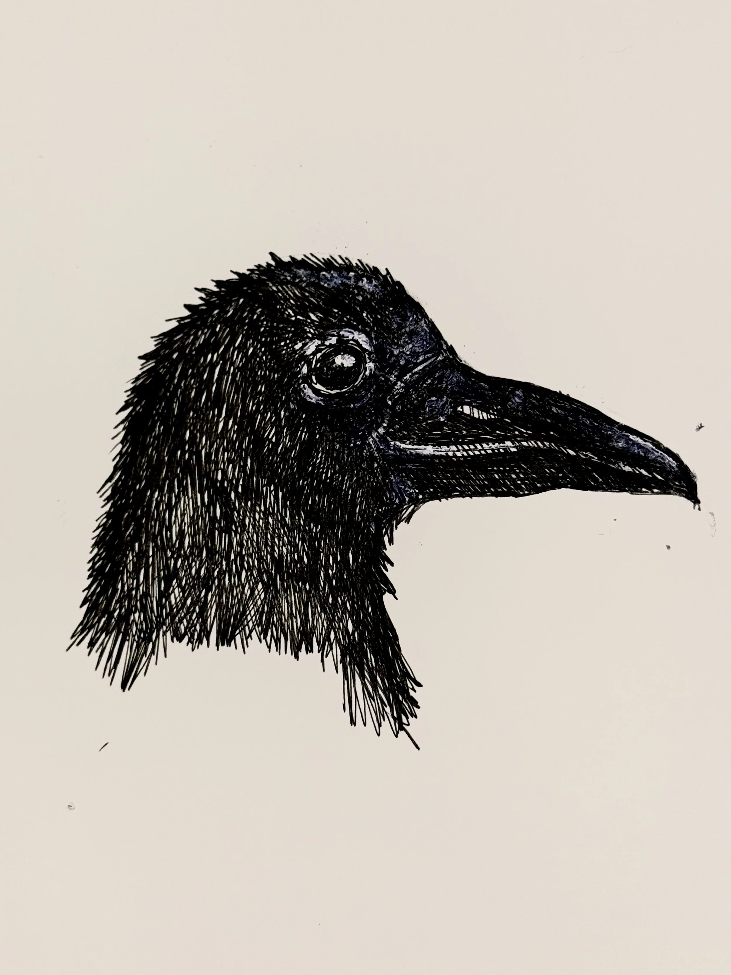 Nevermore | A Poe Literary Halloween event