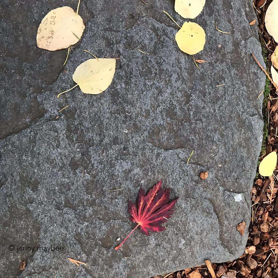 The Stone