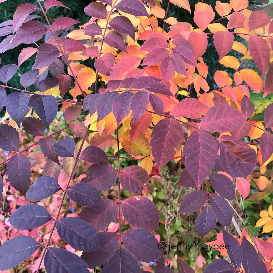 All The Pretty Colors