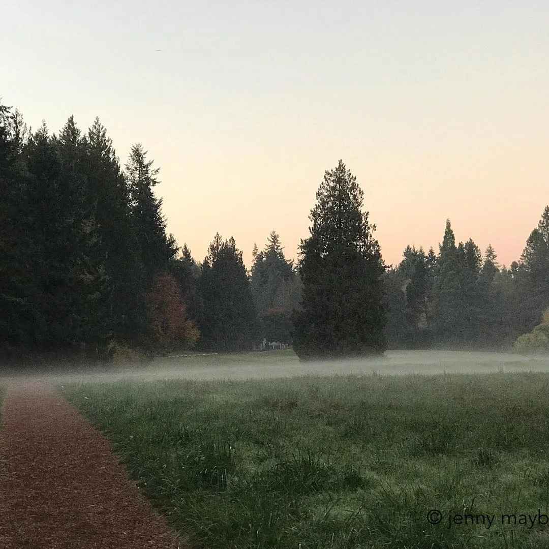 The Mists of Bloedel
