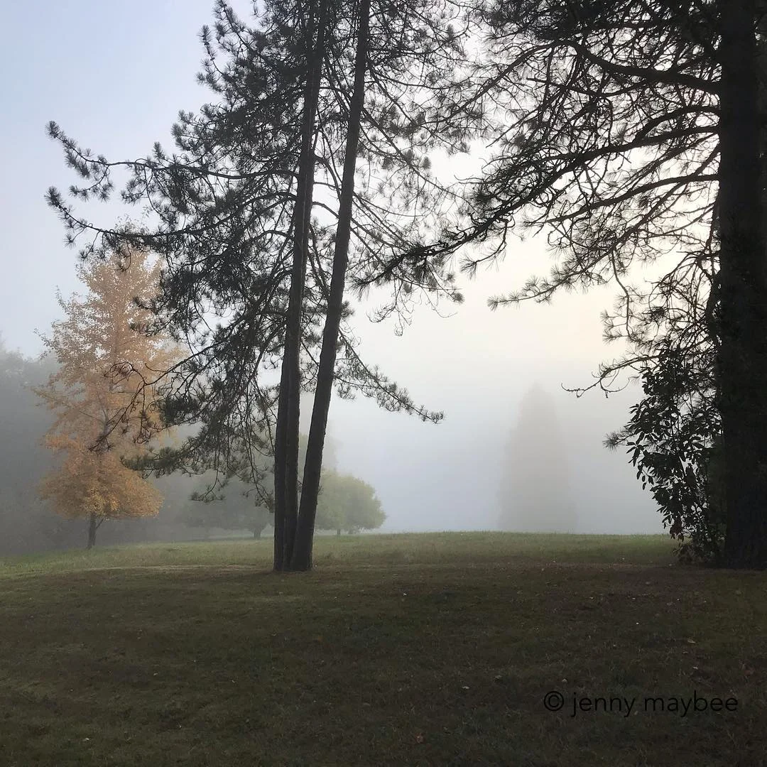Shifting Senses