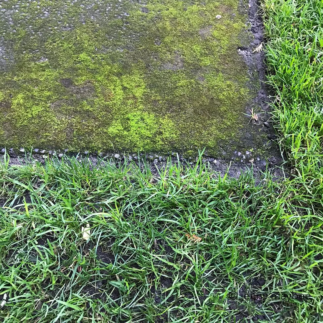Green and Grey