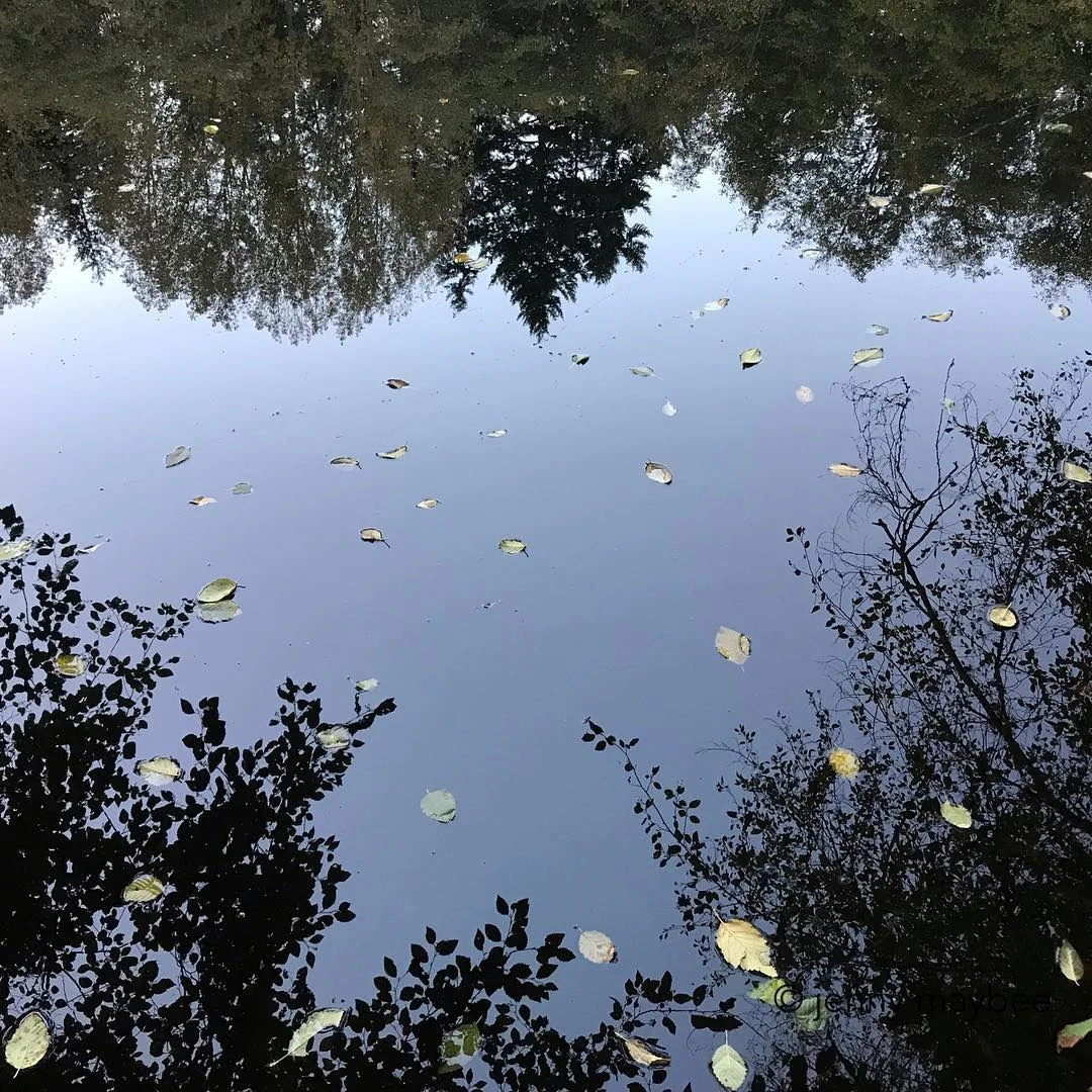 Water or Sky?