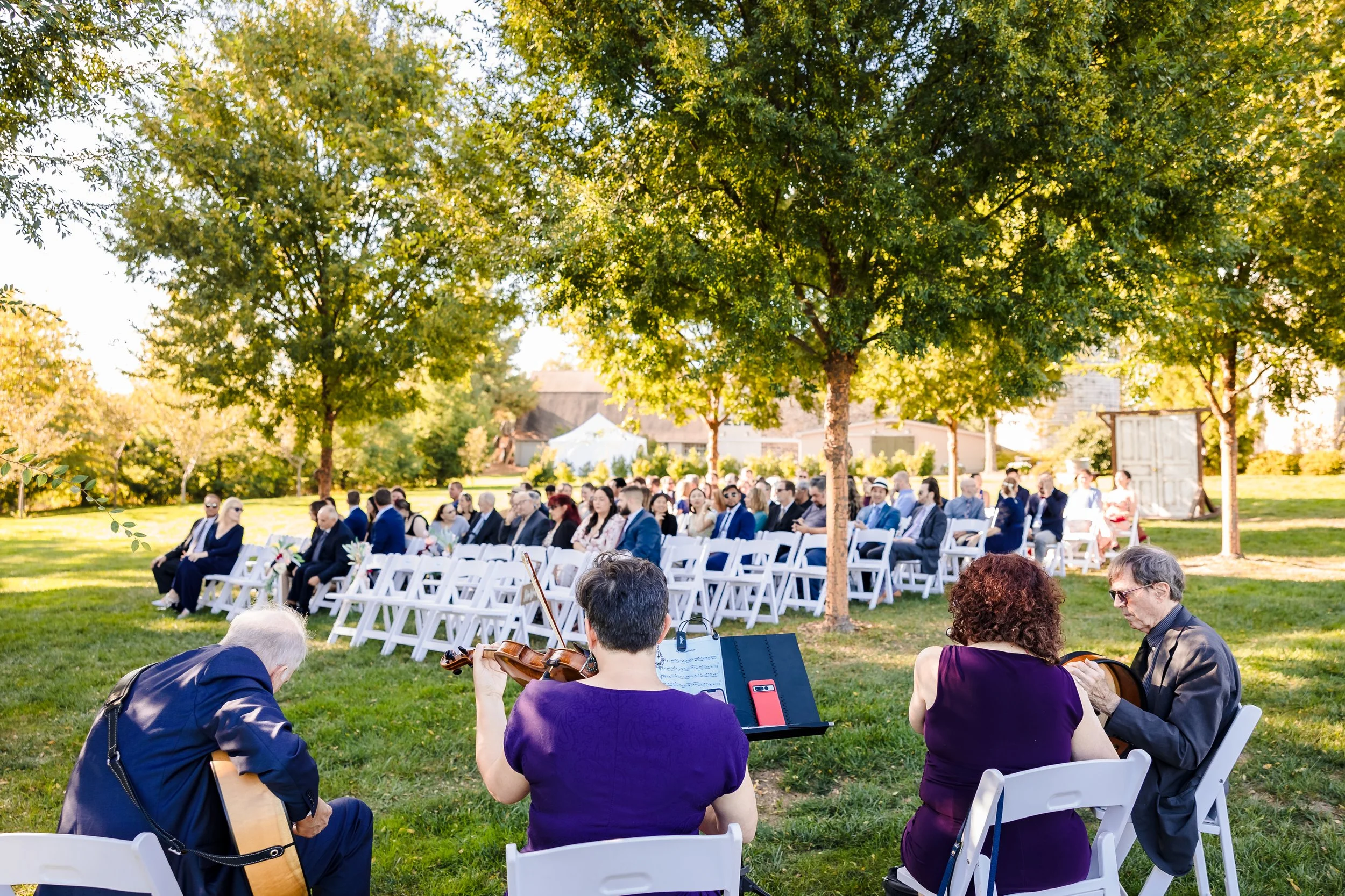 An outdoor gathering with many people seated on white chairs beneath trees, likely at a wedding or event, with a violinist playing in the foreground.