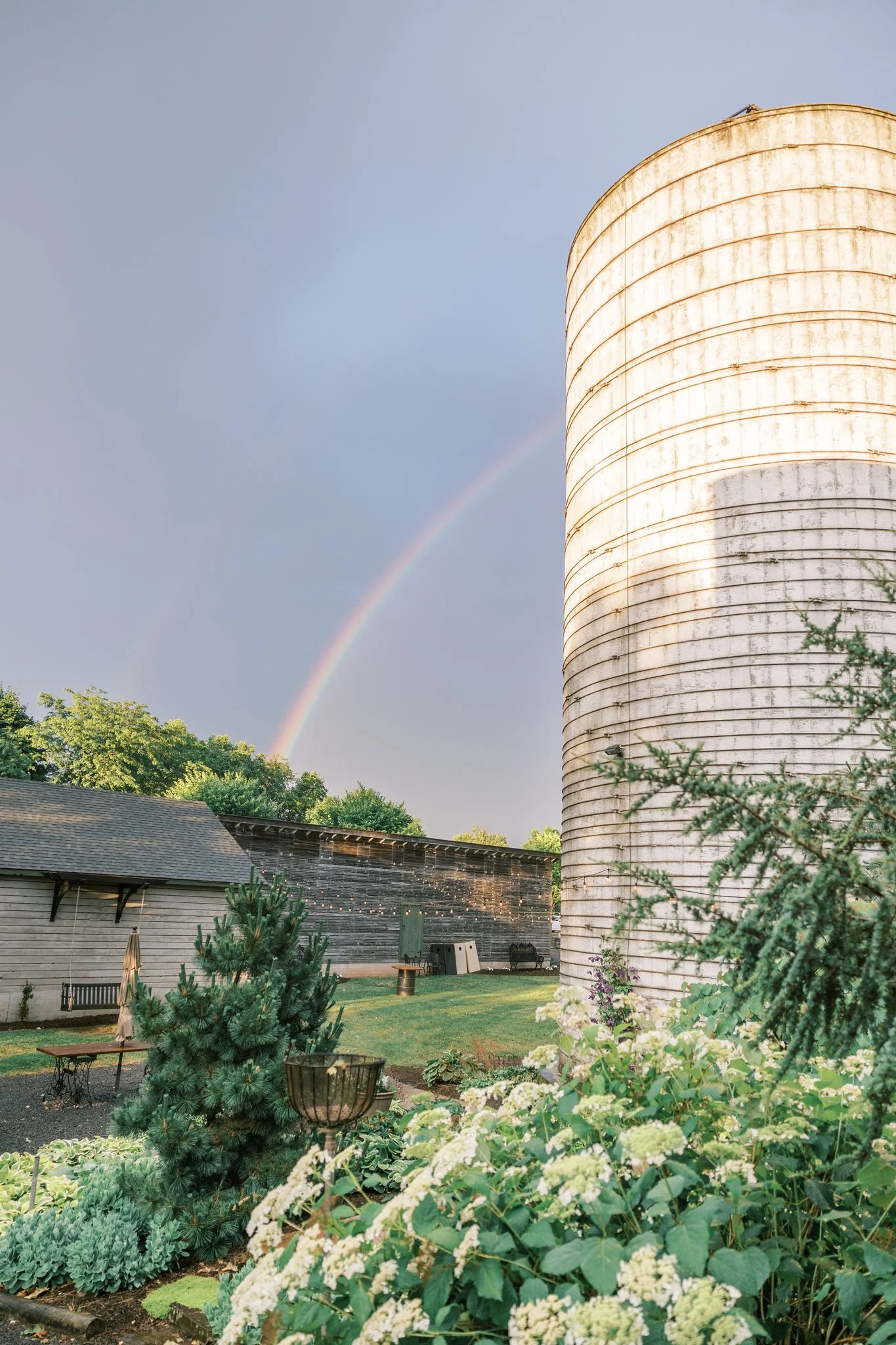 A backyard scene with various green plants, white flowers, a small pine tree, outdoor furniture, and a large silo with a rainbow in the sky in the background.