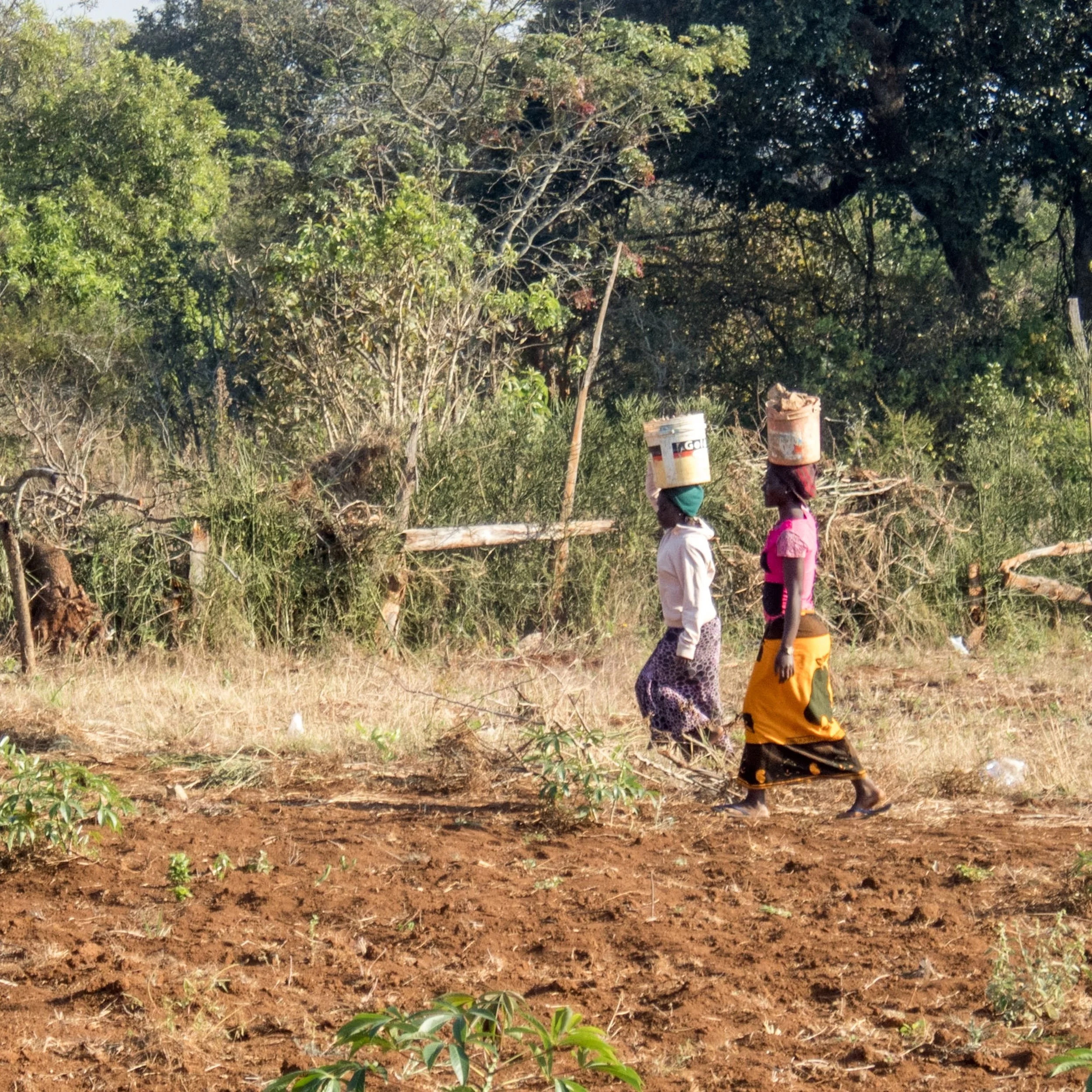 It always amazes me how they can carry heavy loads on their heads. Here are two of the young women carrying buckets full of items to and from the fields