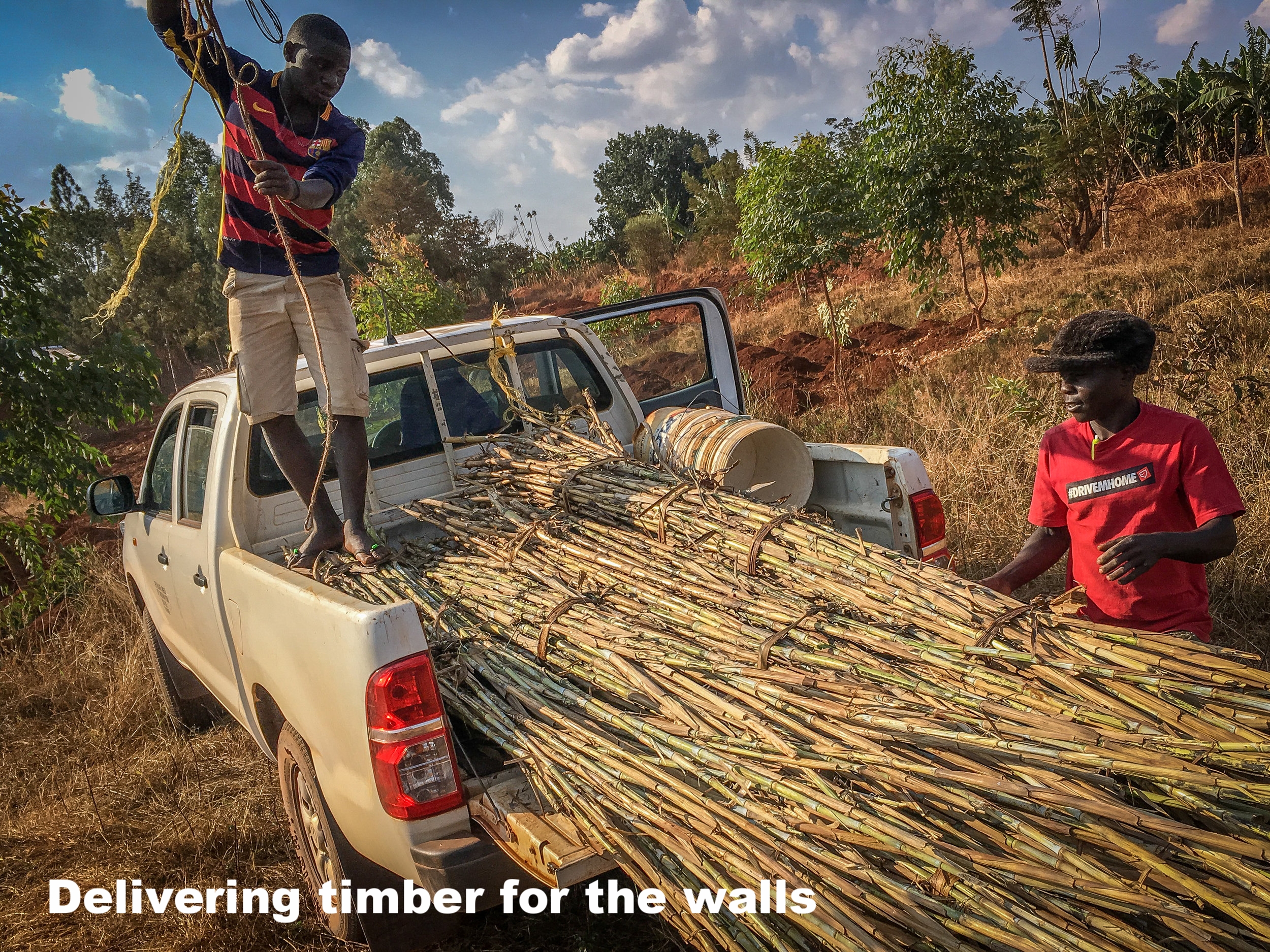 2. Wall timber being delivered.jpg