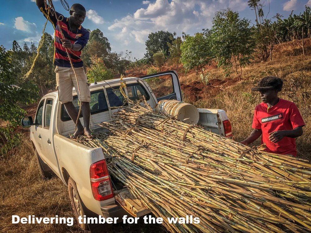 2. Wall timber being delivered.jpg
