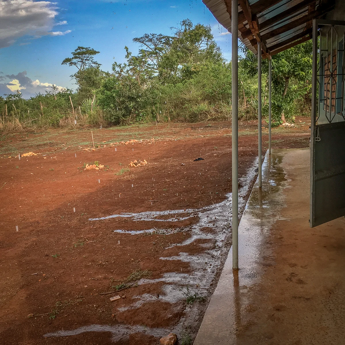As you can see, there is barely any rain falling in Benaco. Although the rainy season has begun in parts of Tanzania, it has not yet reached our little corner of the world...