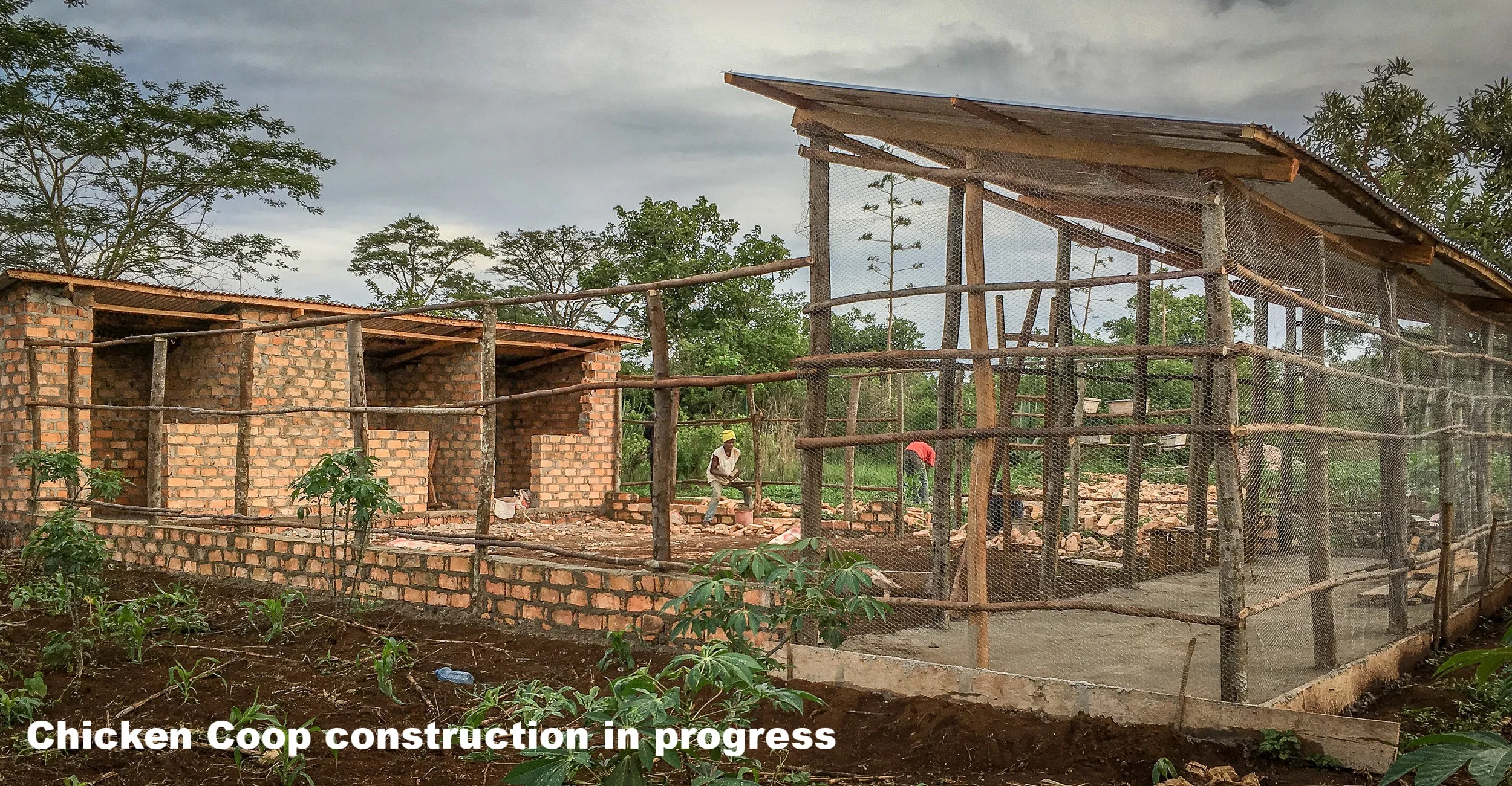 We have begun construction on our Chicken Coop which will house 100 hens and a few roosters. Eggs from the hens will provide our elderly with a much needed source of protein in their diet.