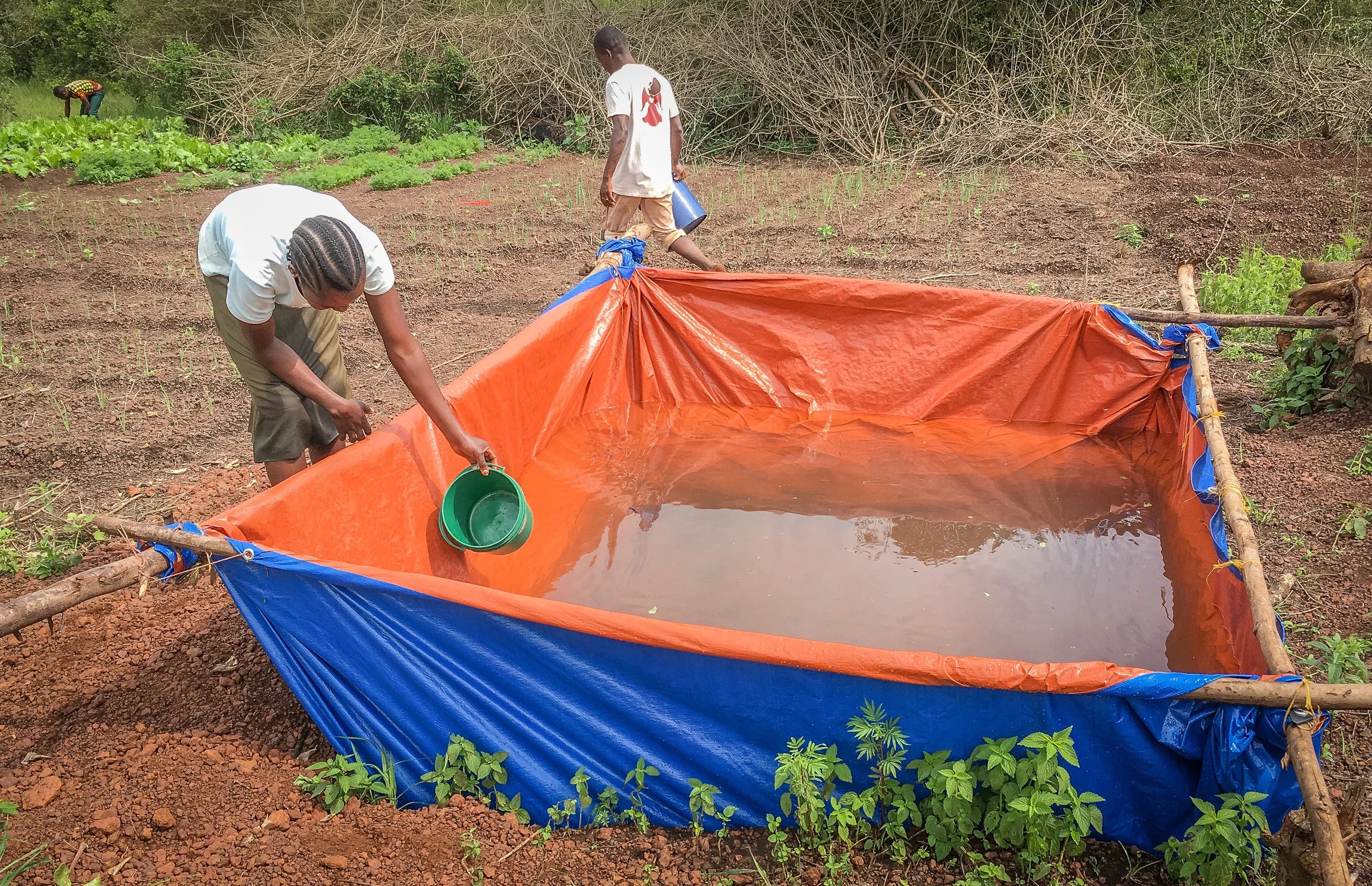 Water for the Garden