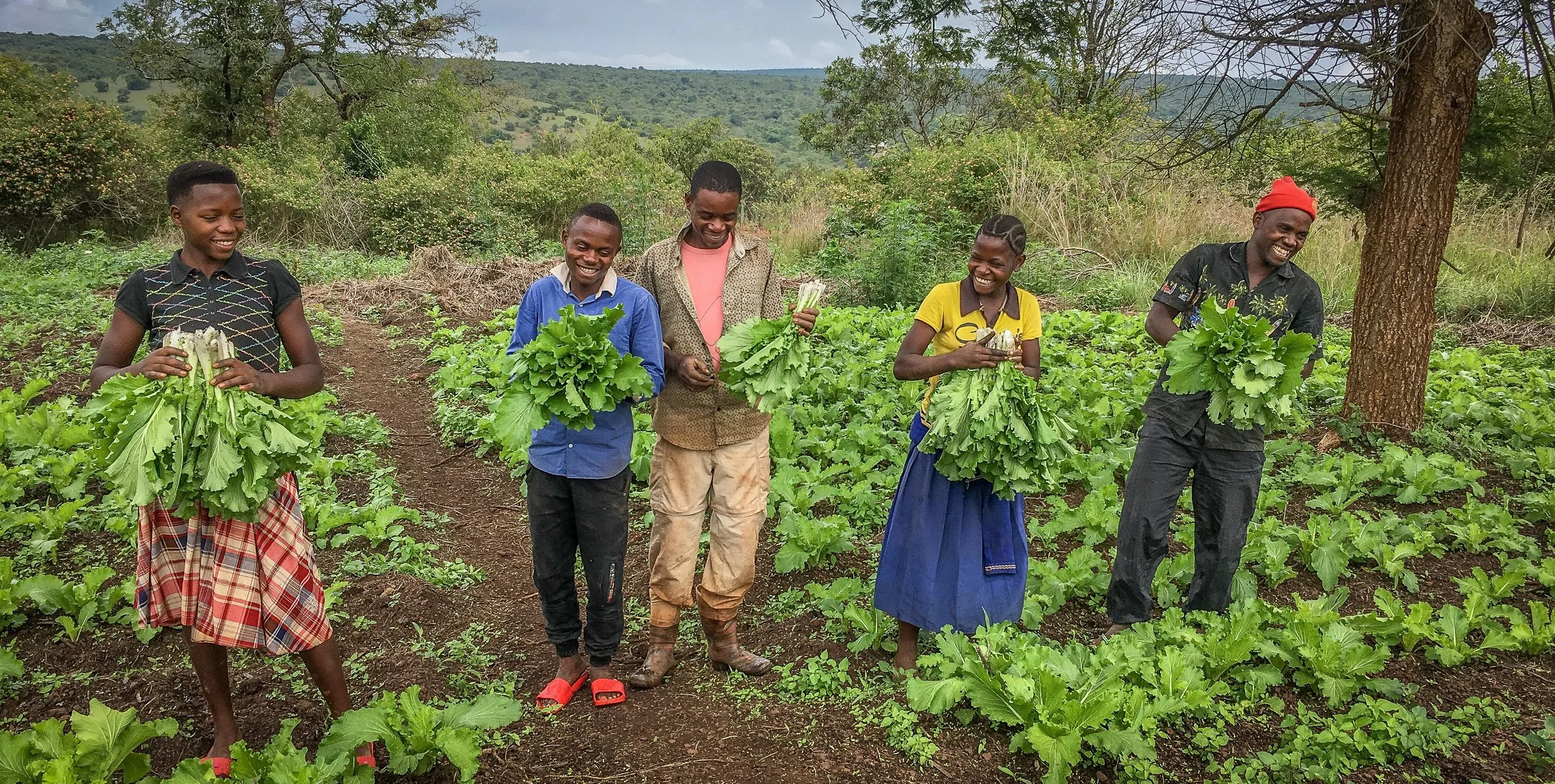 Happiness and smiles on the faces of our youth after they harvest some of the crops that are now growing abundantly due to having water on site from our well.