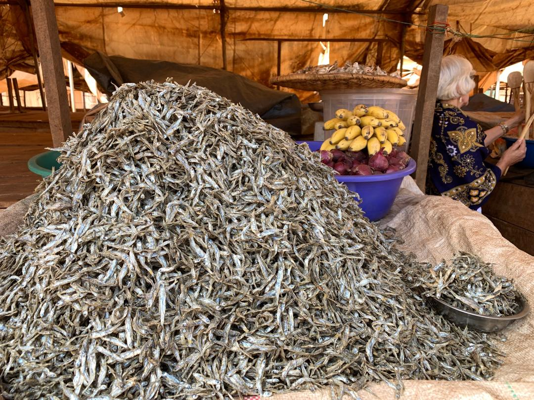 And some dried fish