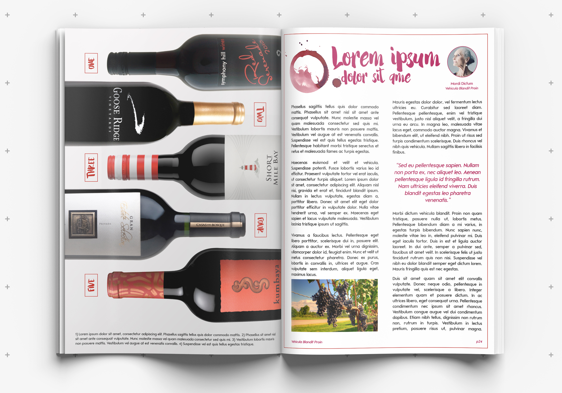 Waitrose Cellar Magazine Spread (Look and feel)
