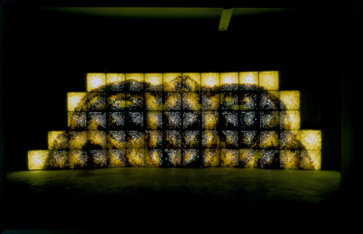 visible_human_04.jpg