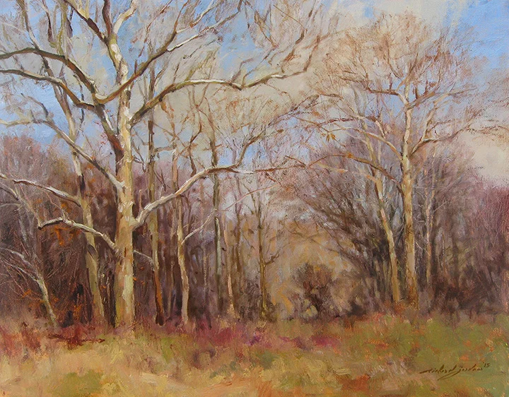 March Sycamores.jpg