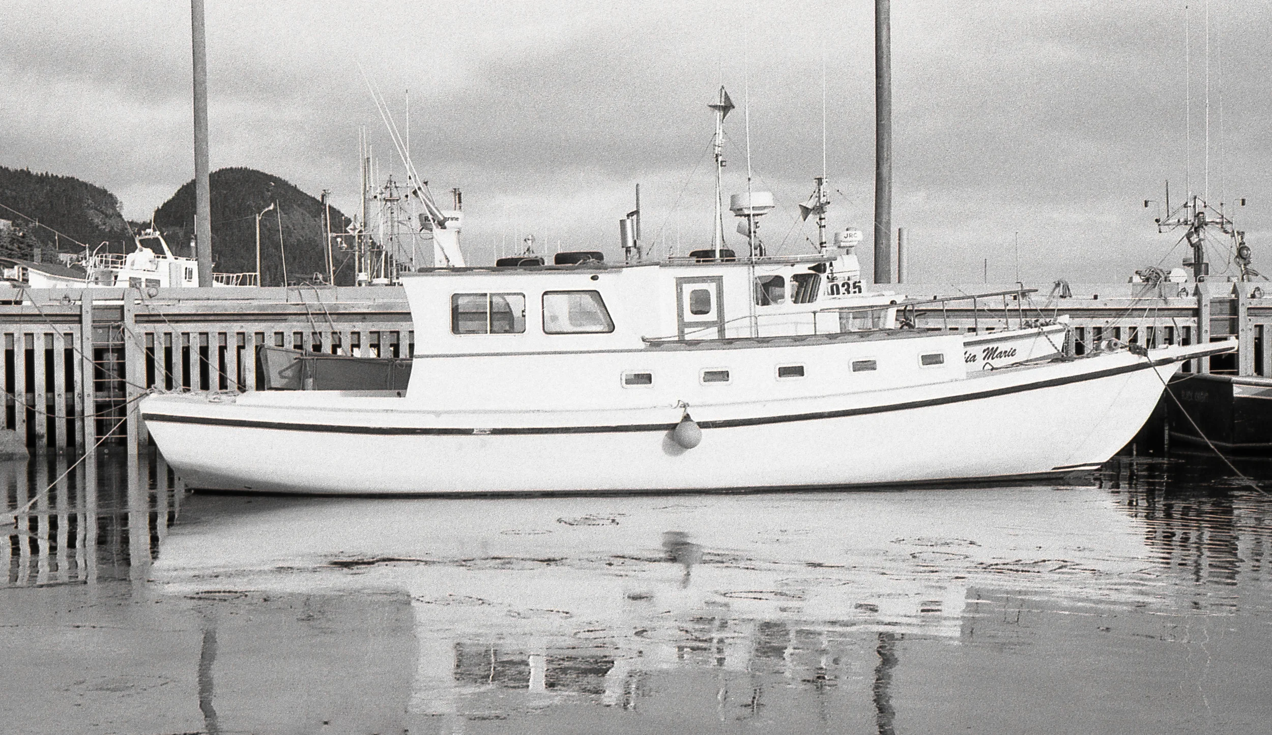 Placentia harbour in early winter. Thin sheets of ice are forming next to the boat.