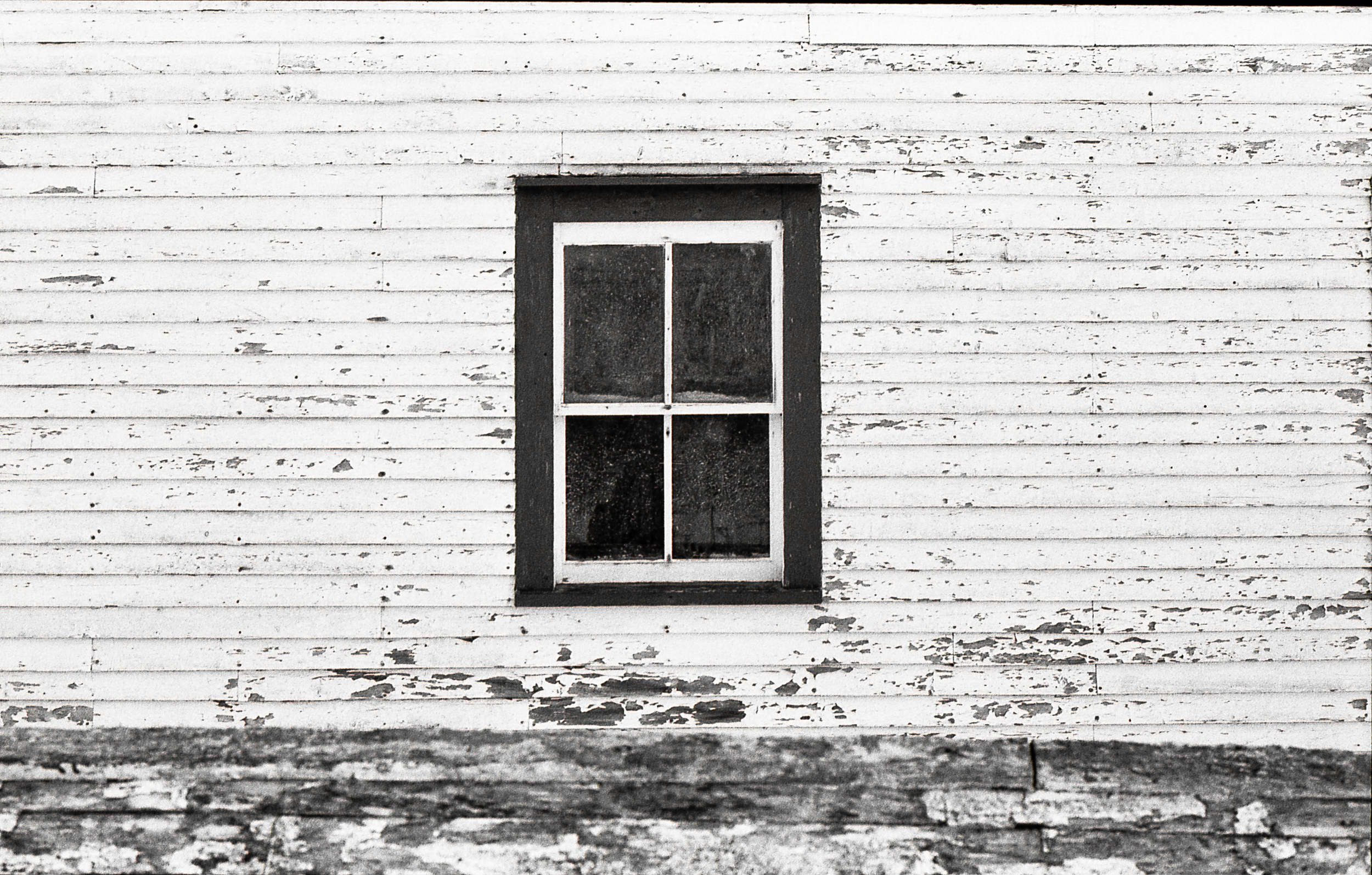 The paint on this old shed stands little chance against Newfoundlands often harsh climate.