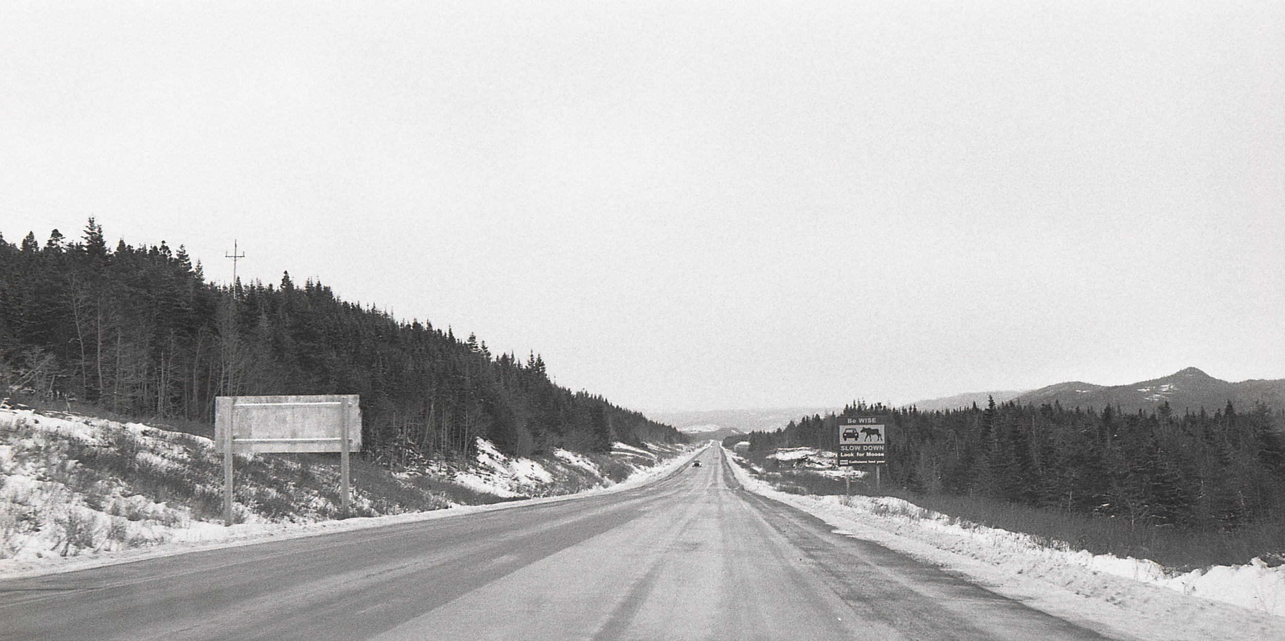 Heading to the airport. The sign on the right warms about moose, frequent visitors on local highways.