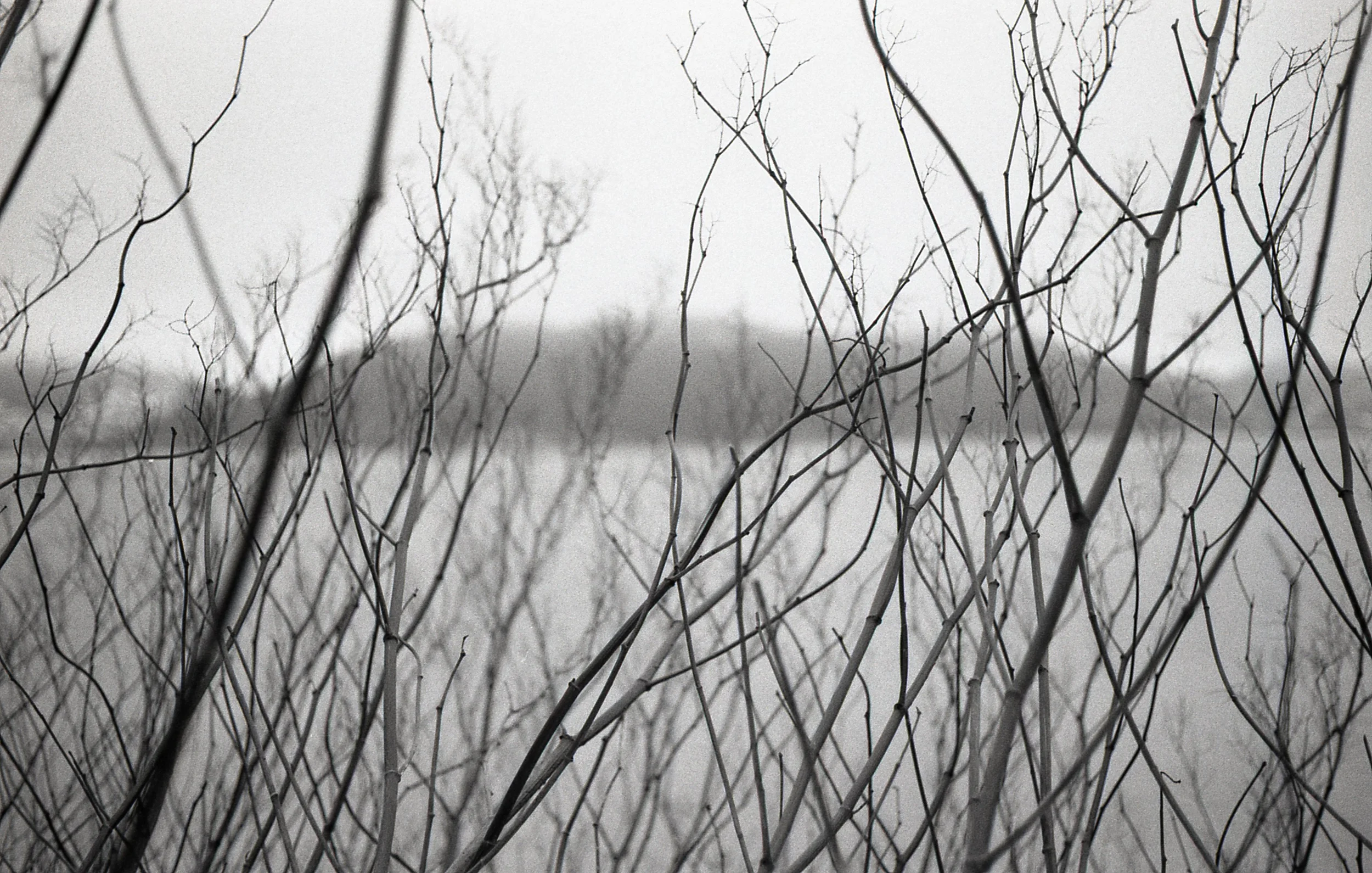 img217.jpg