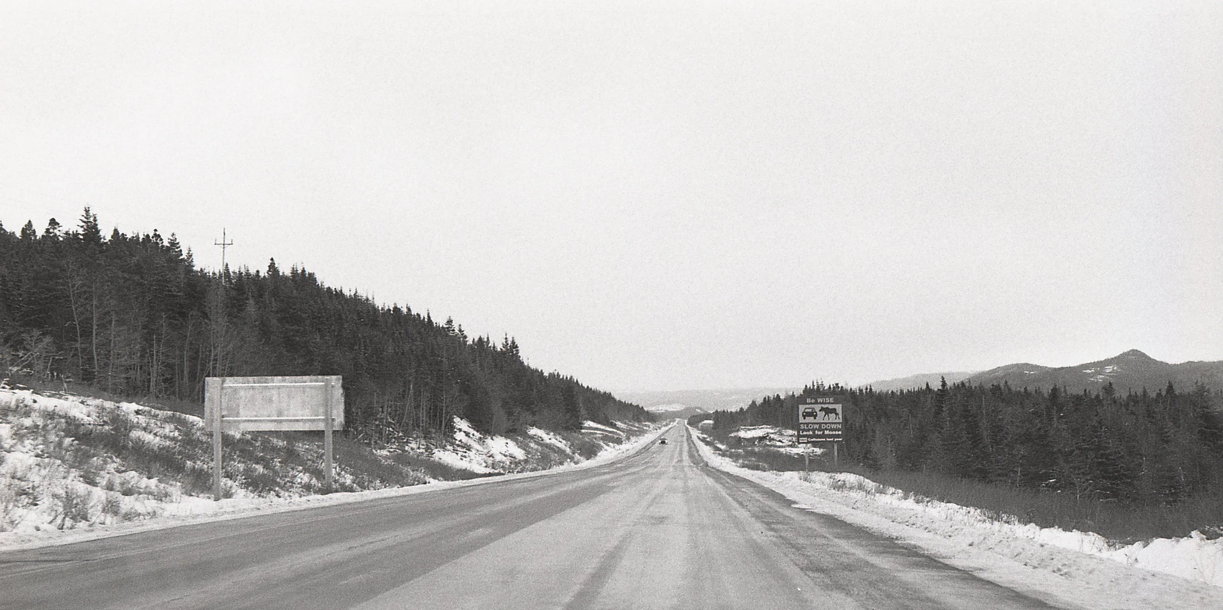 img239.jpg