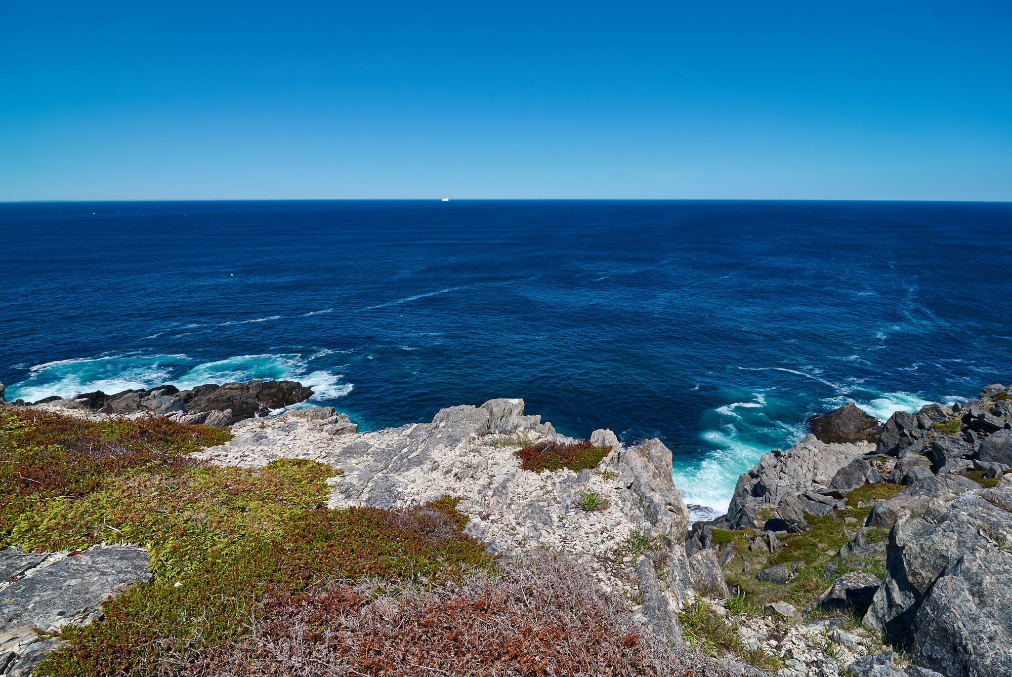 Distant Iceberg off Grates Cove