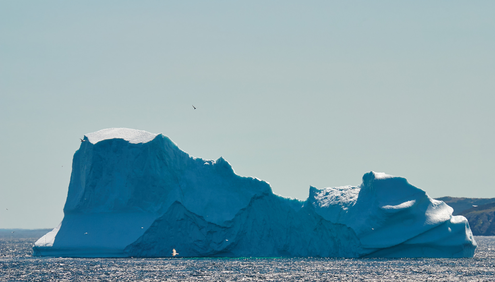 Giant Berg, Port de Grave