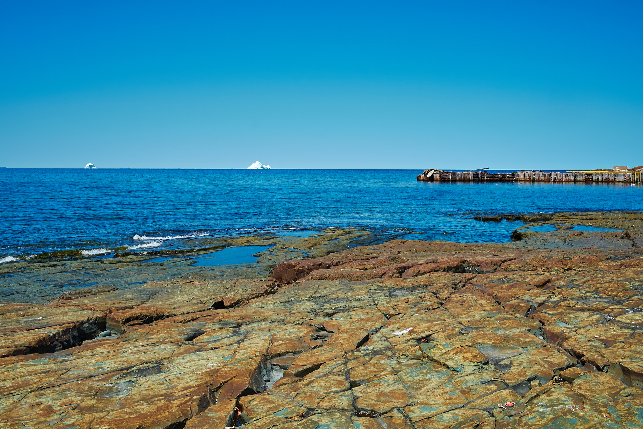 Icebergs in Bonavista Bay