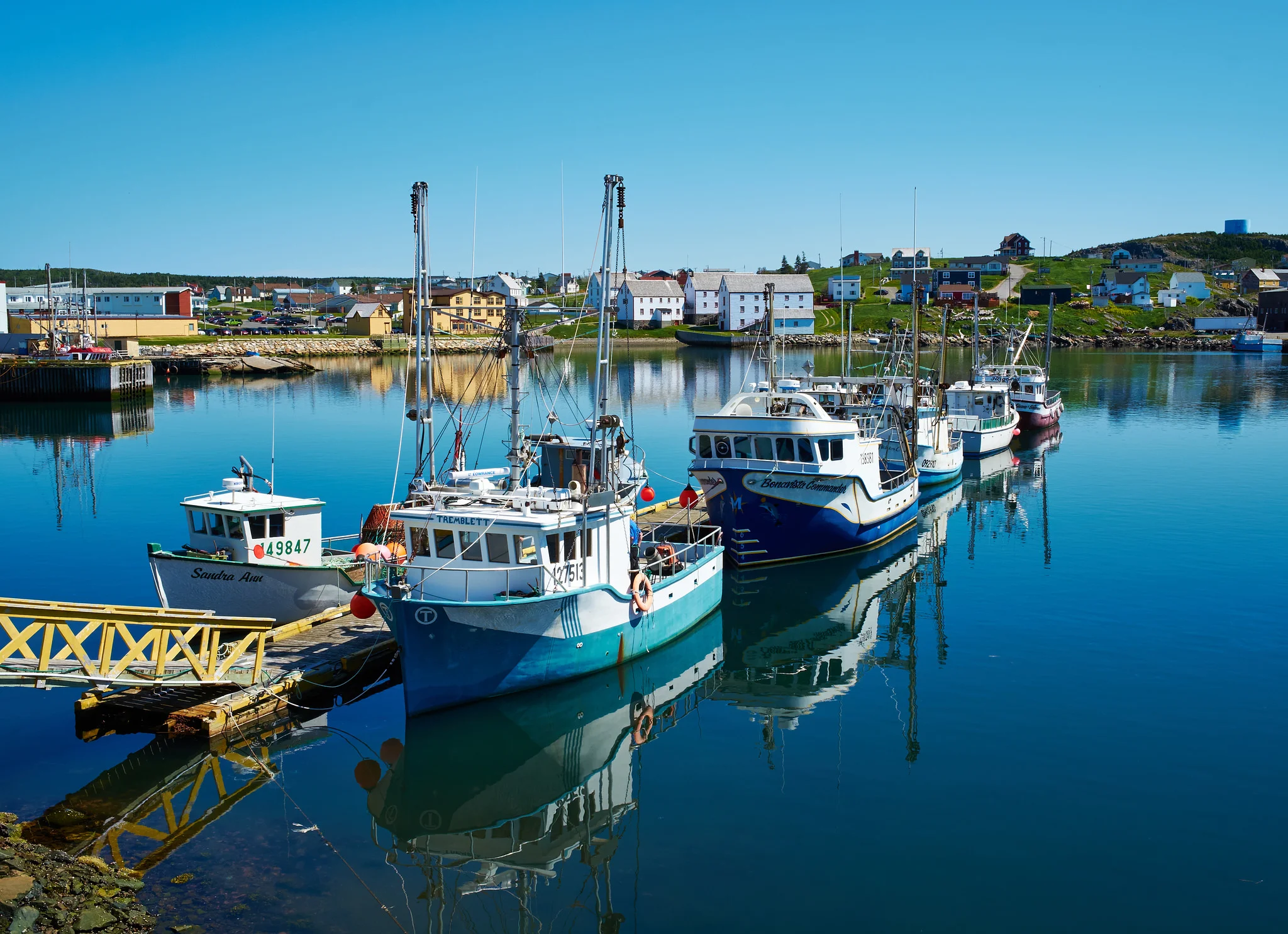 Bonavista Harbour
