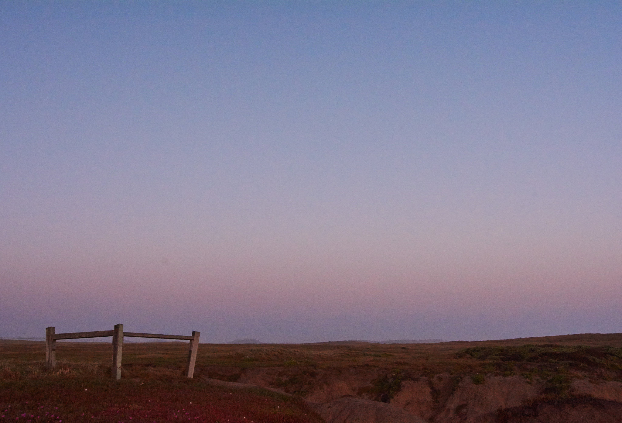 In the California Gloaming