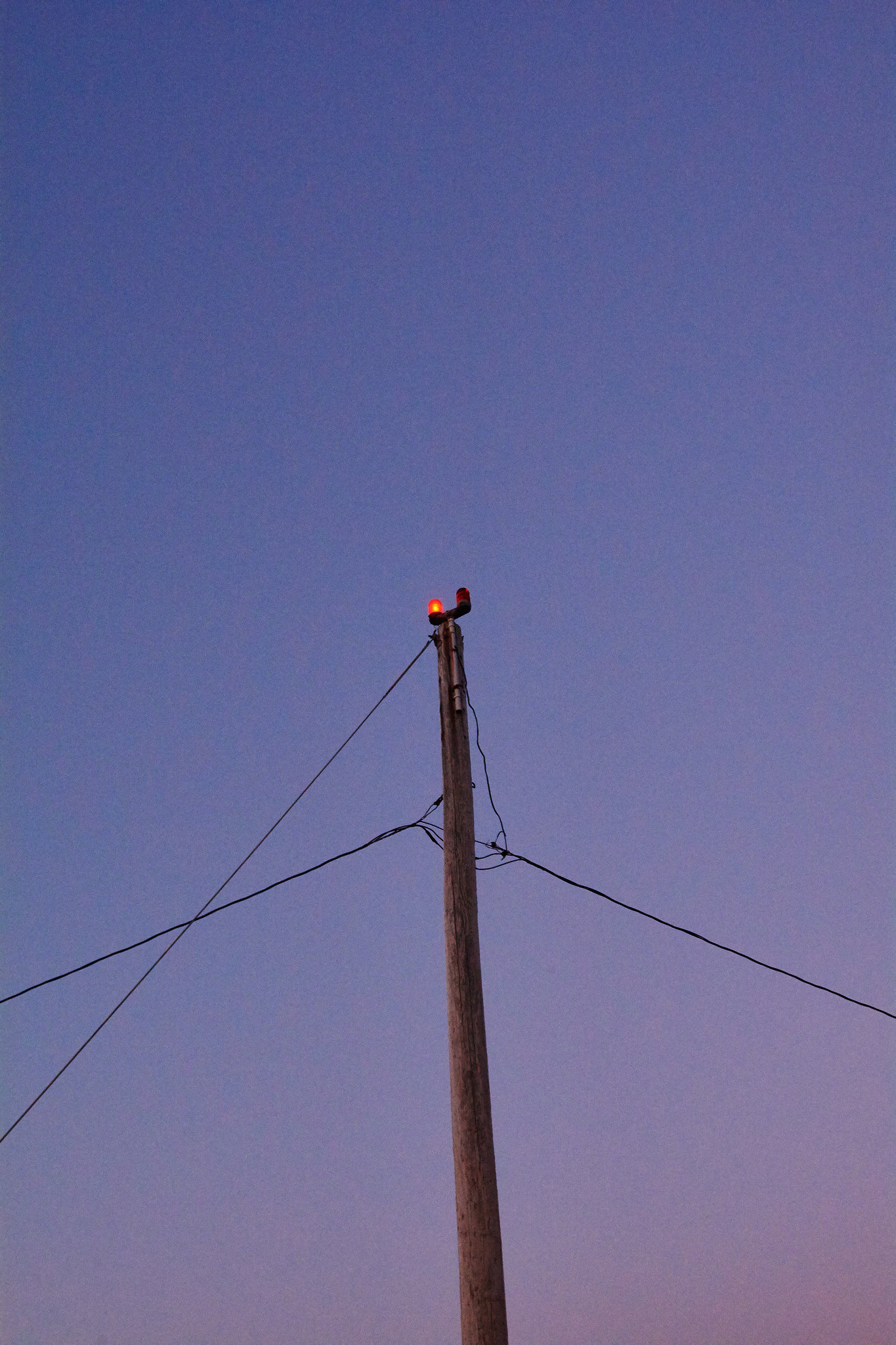 In the Gloaming, Newfoundland
