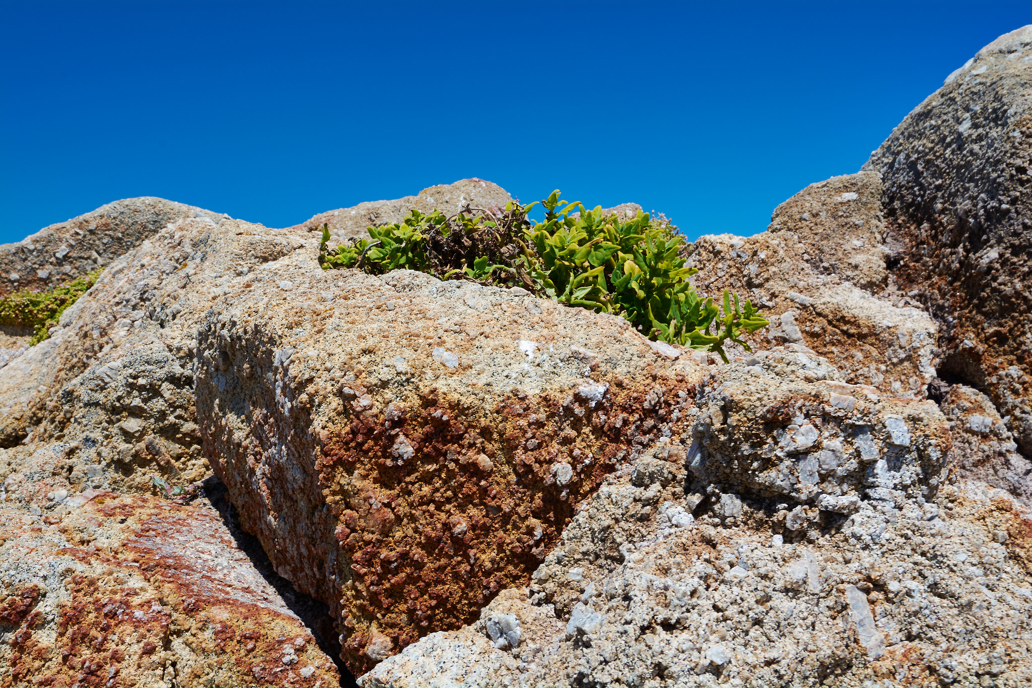 California Coastal Geology