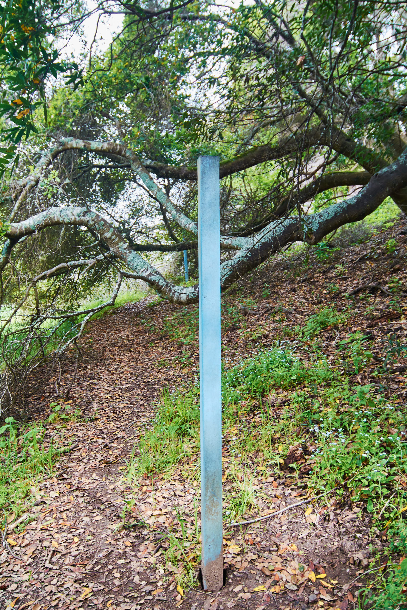 San Andreas Fault
