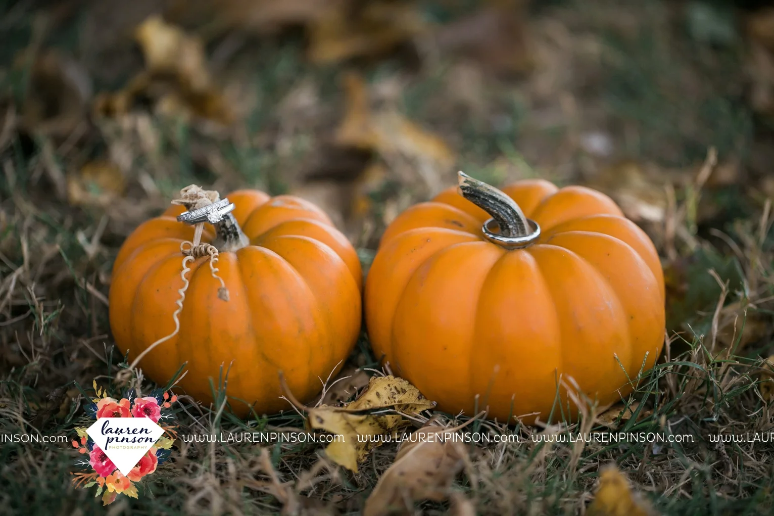 kemp-center-for-the-arts-wichita-falls-texas-wedding-photographer-fall-wedding-pumpkins-118.jpg