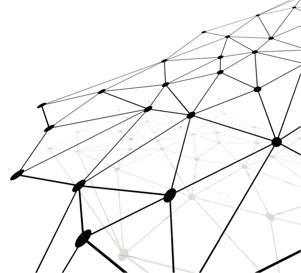 net.png