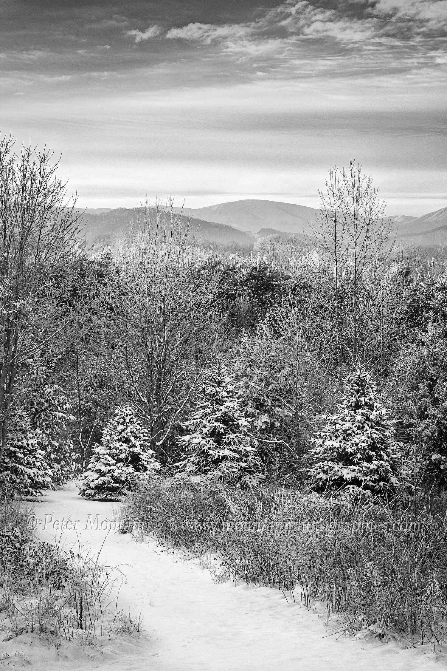 2-25-15-+B&W.jpg