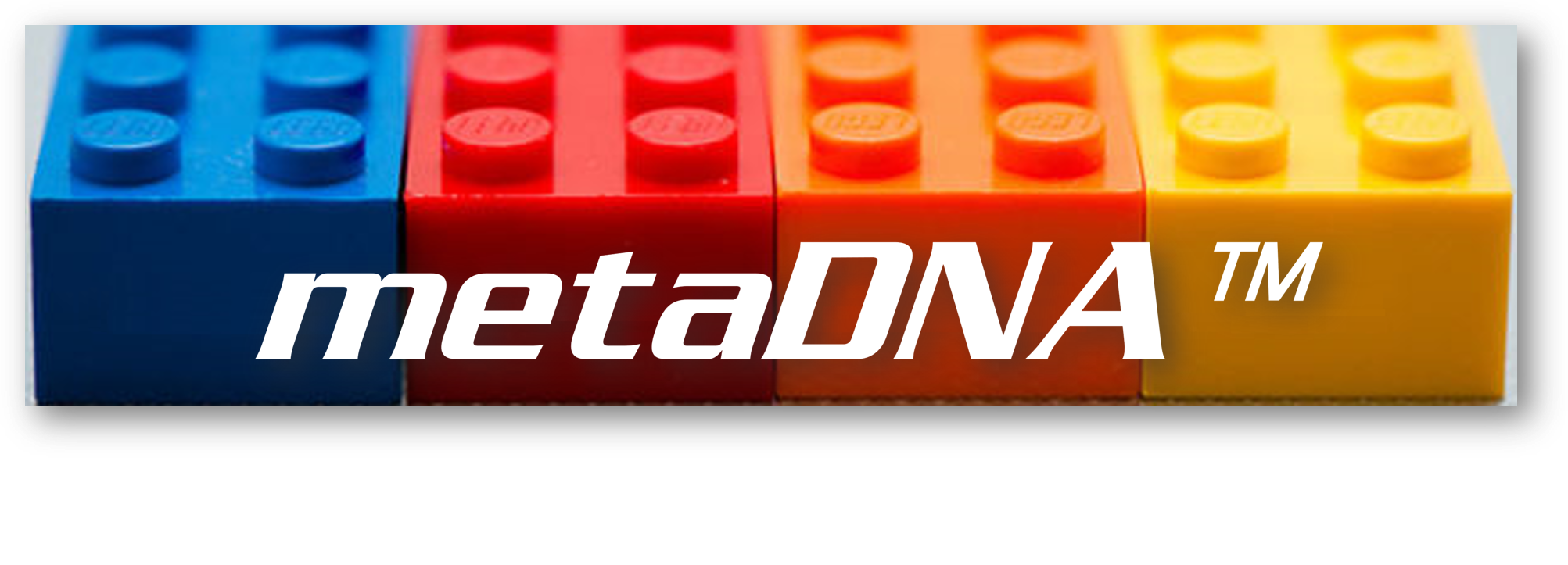 metaDNA1.png