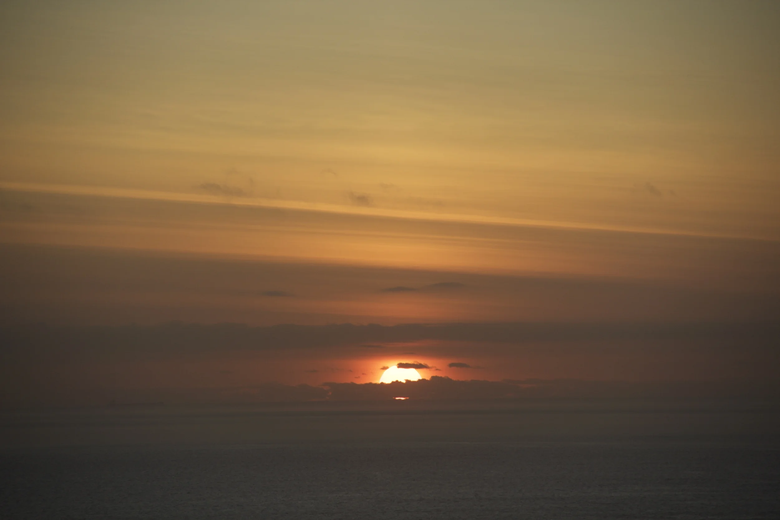 _MG_6498.jpg