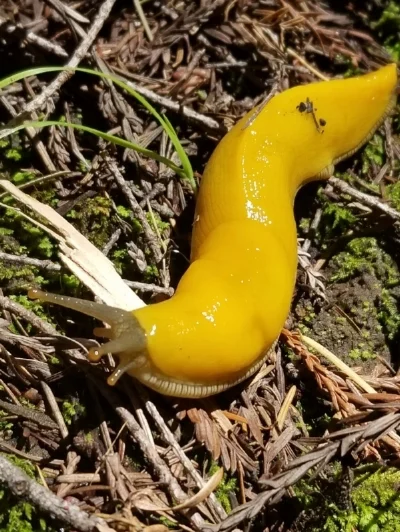 20180414_111518.jpg