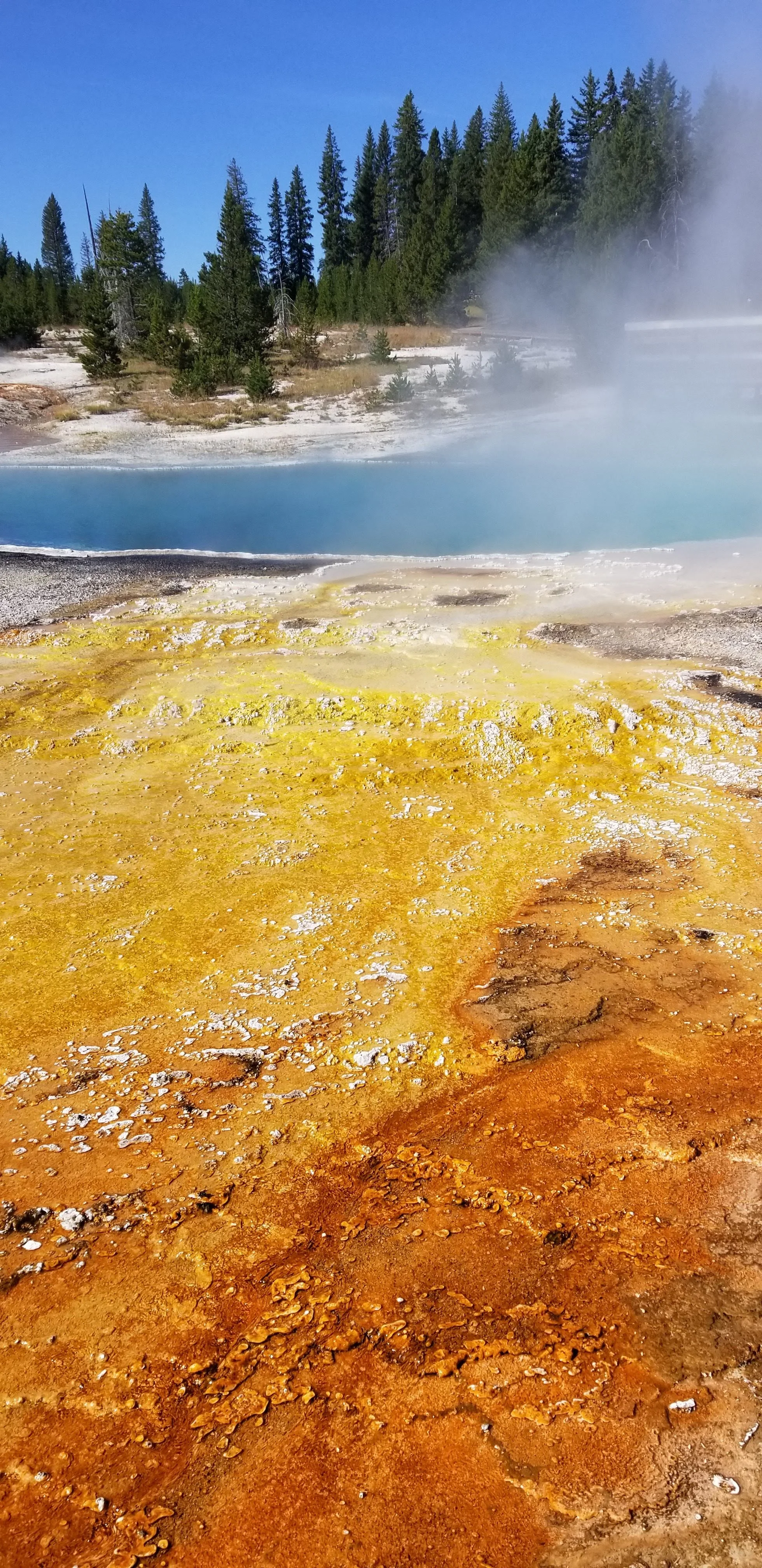 20190818_094808.jpg