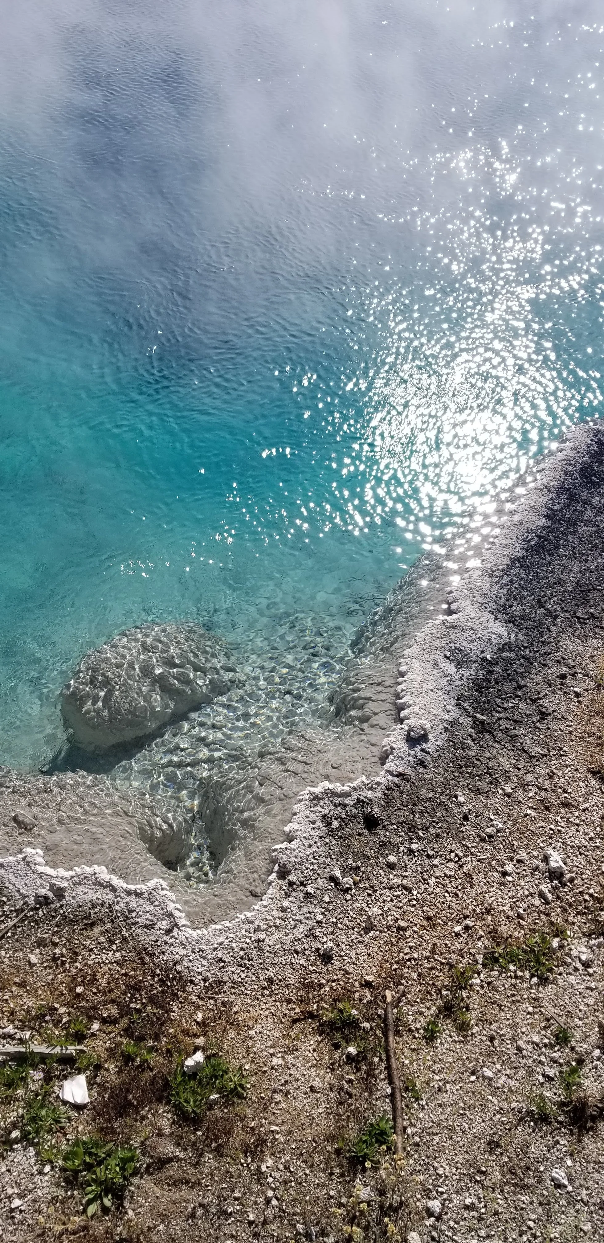 20190818_095006.jpg