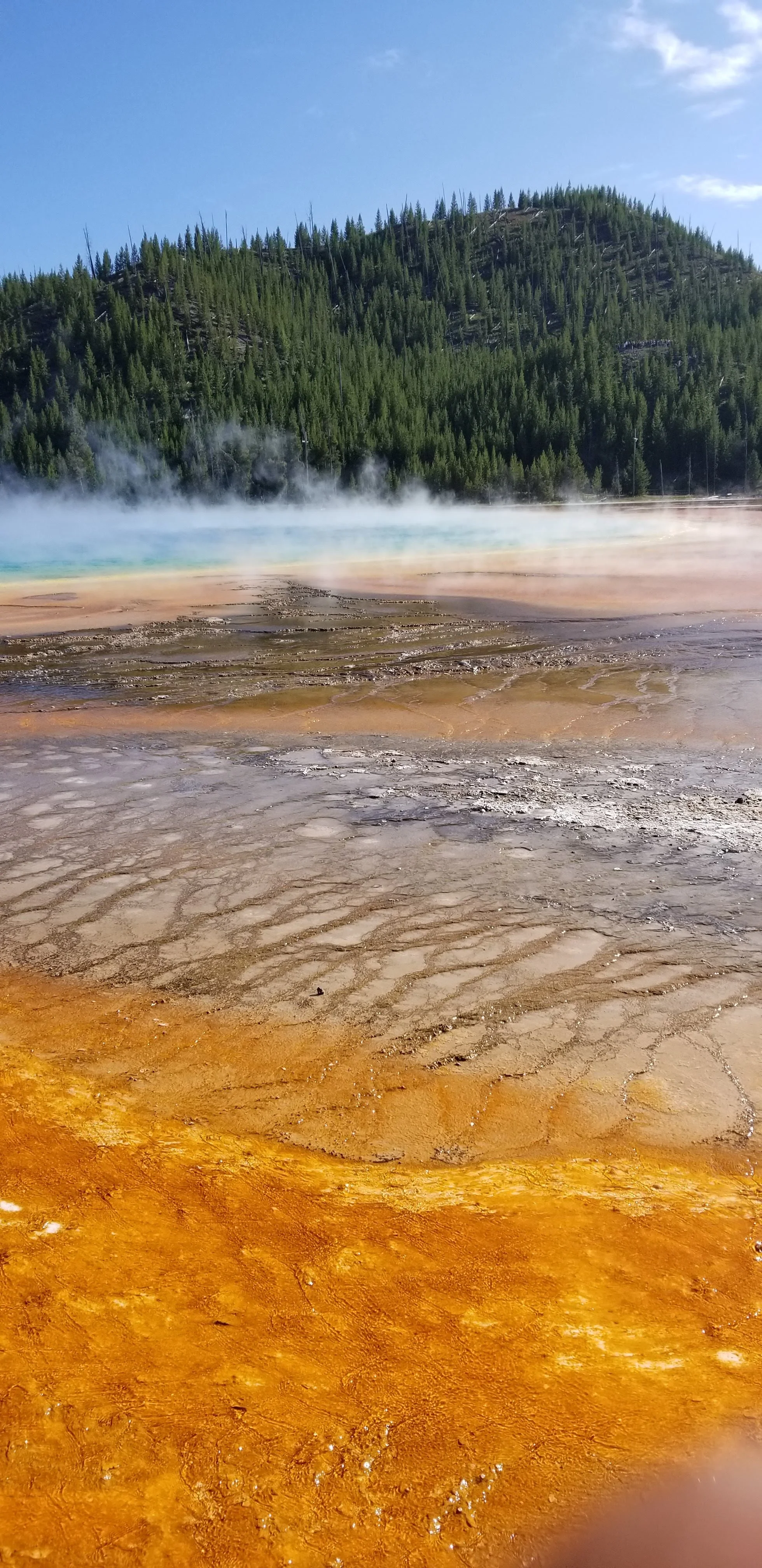 20190818_171512.jpg