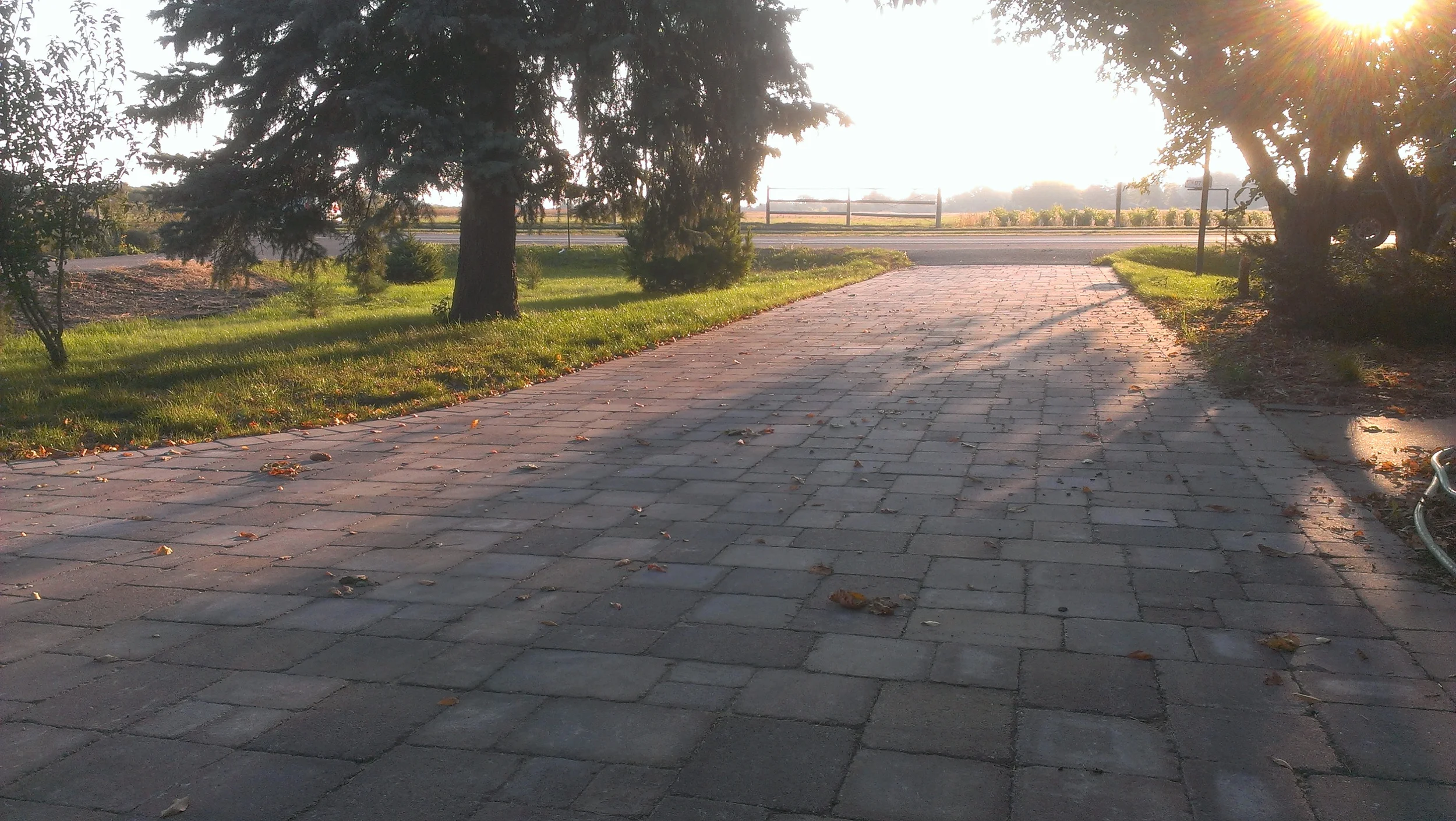 IMAG1056.jpg