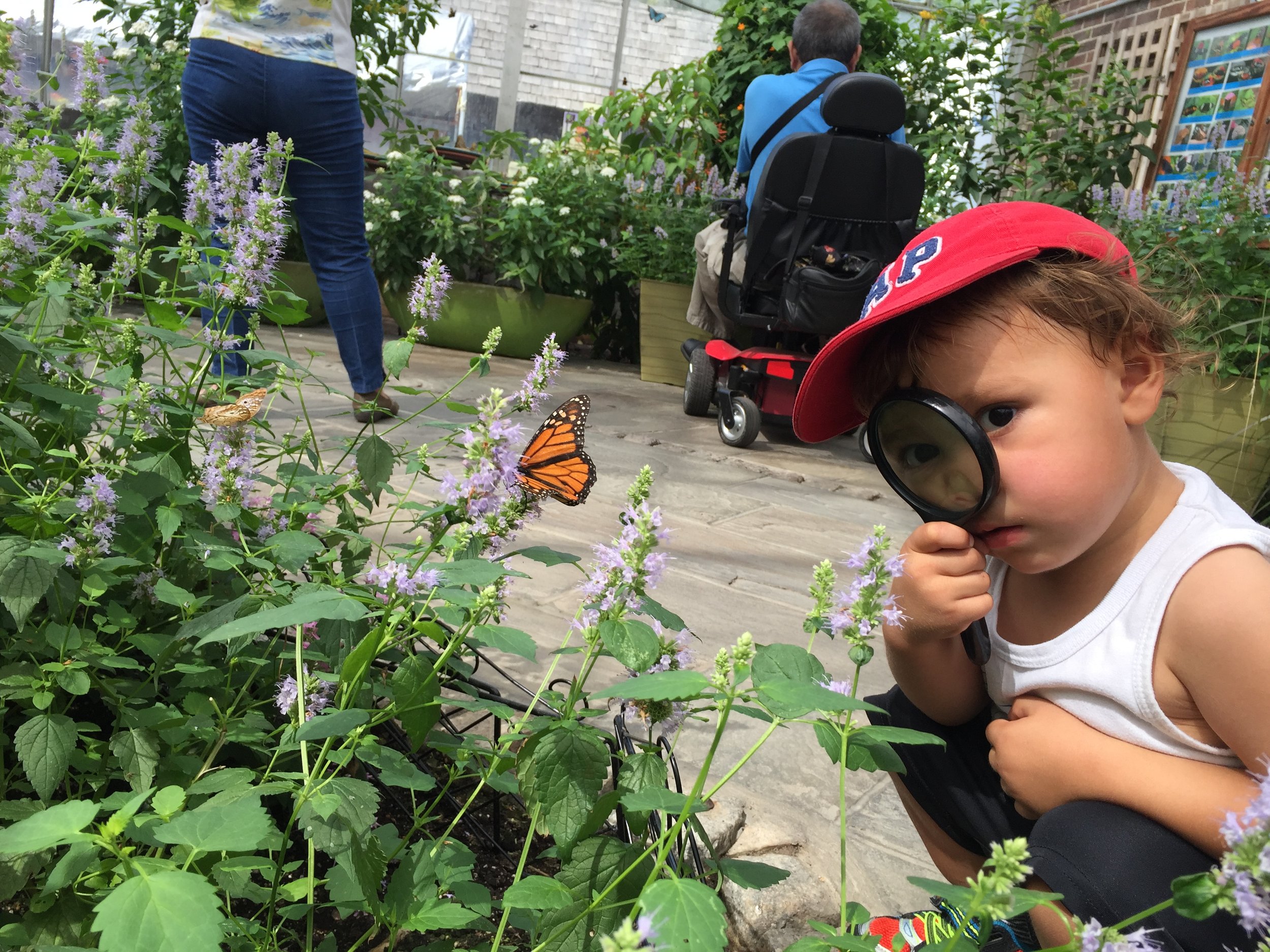 The author's son, exploring the world with tools just his size.