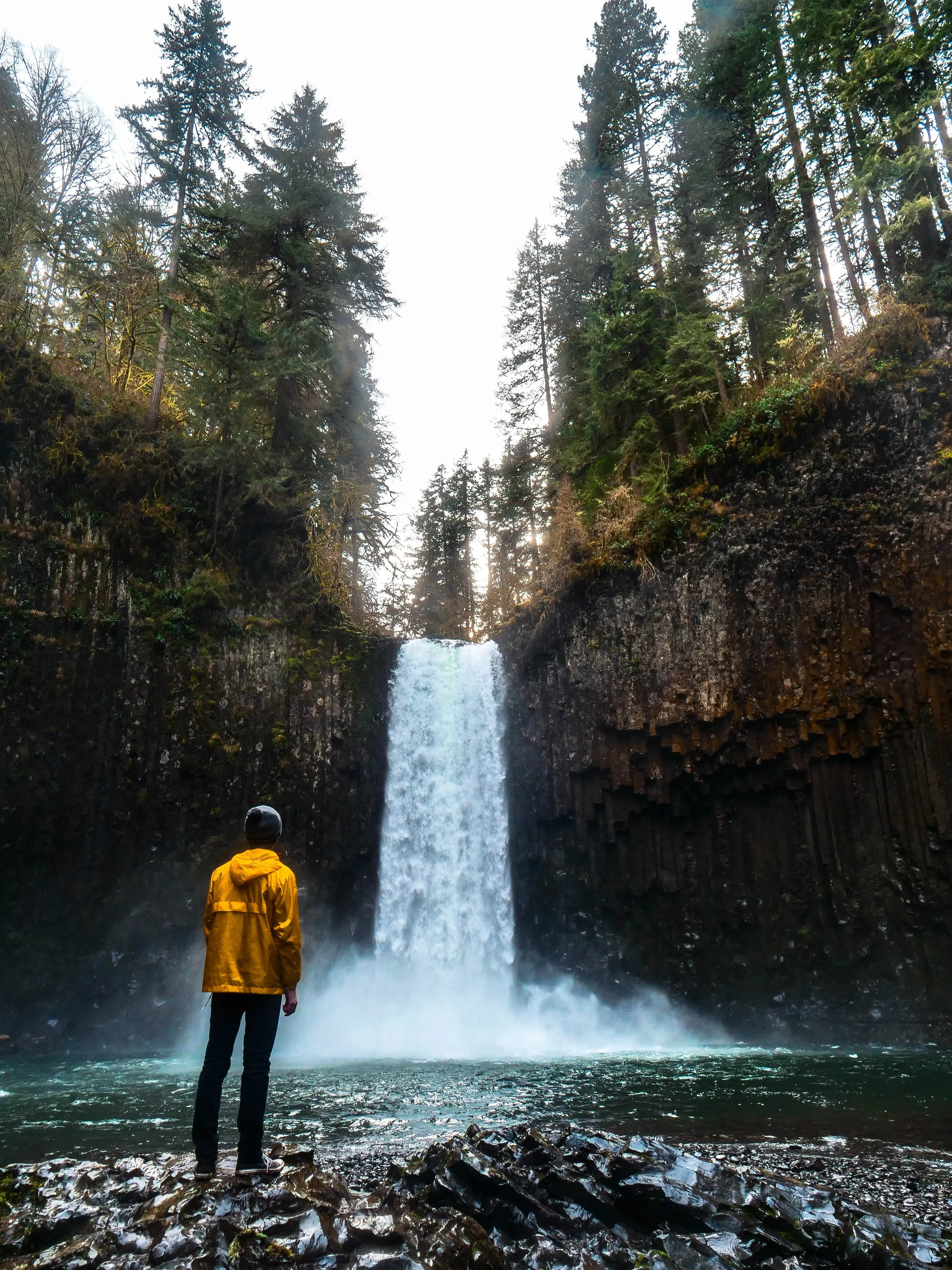 david-kovalenko-520171-unsplash.jpg