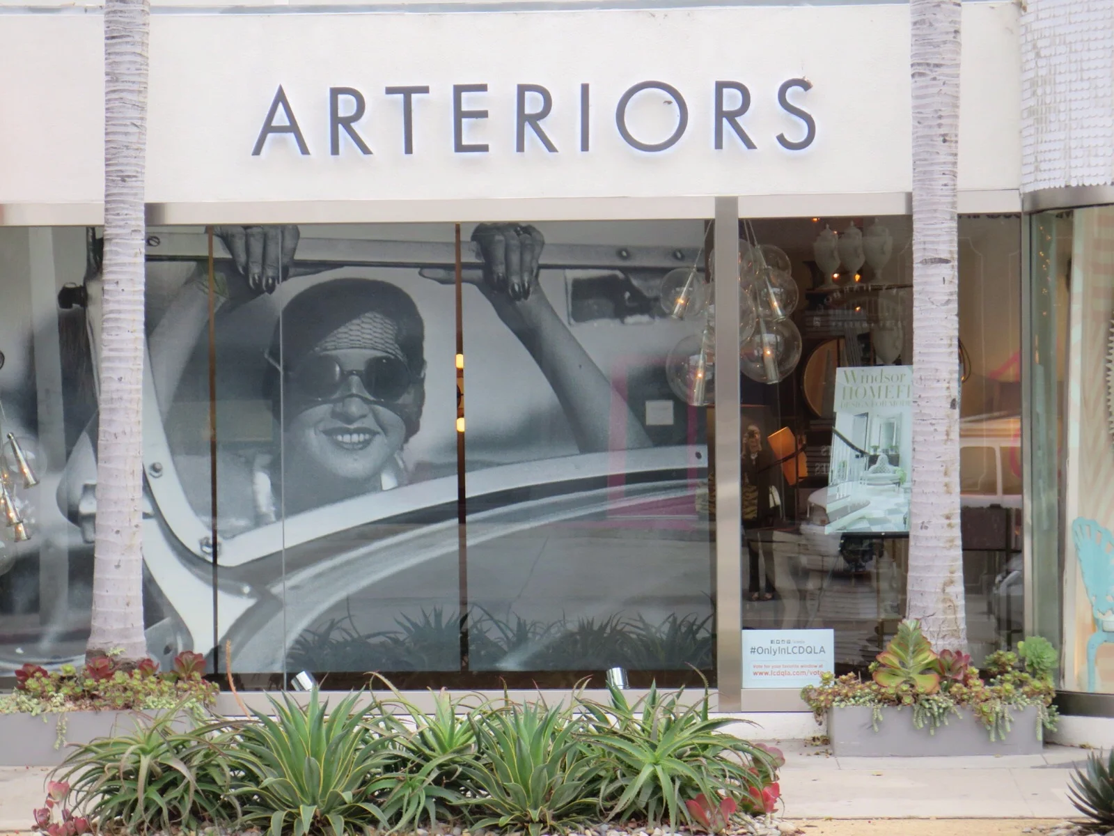 WINDOW'S MUSE: RENEE PERLE as photographed by Jacques-Henri Lartique