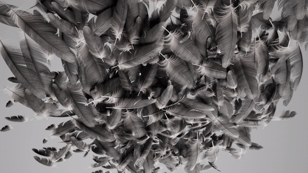 1331f88e-c272-4b8d-bc97-02e78516dc9e (1).gif