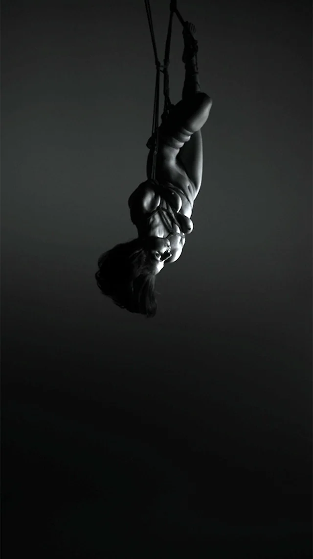 LADY GAGA: FLYING