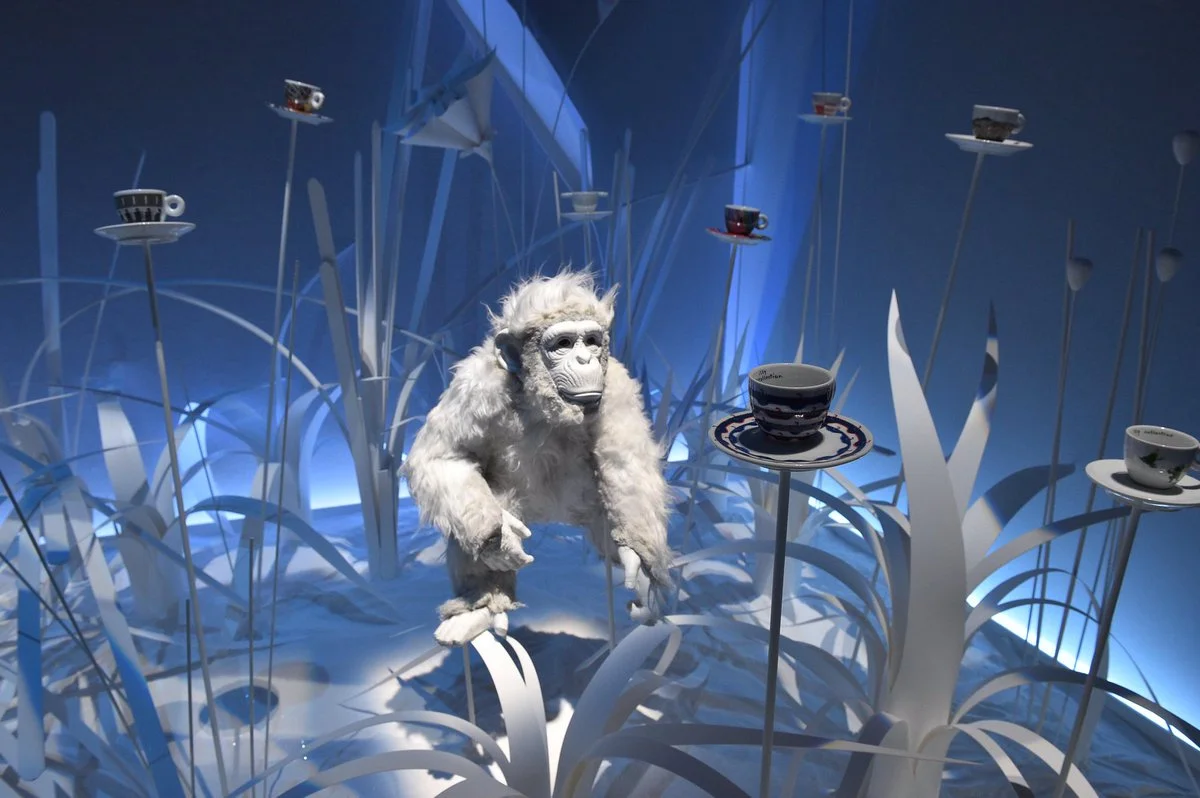 DAiBi7NXYAIFOFm (1).jpg